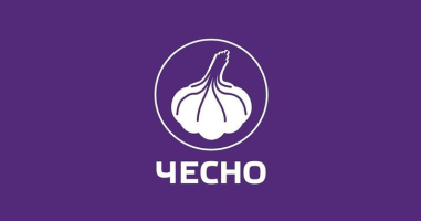 CHESNO education platform